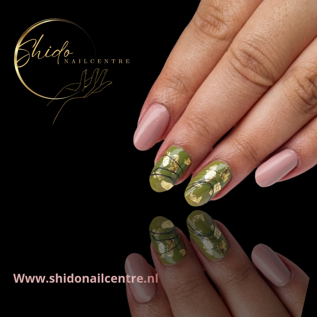ShidoNails & Art gellak hunter