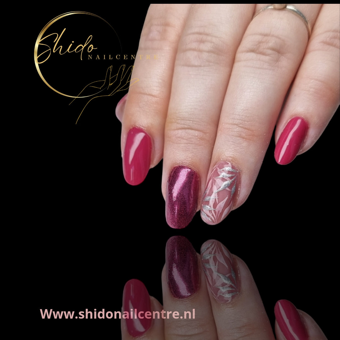 ShidoNails & Art Gellak Grandberry